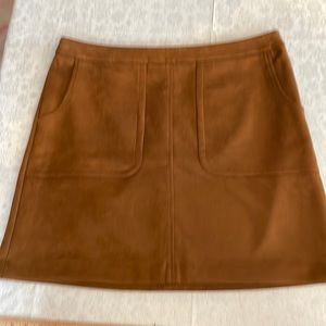 NWT Loft skirt